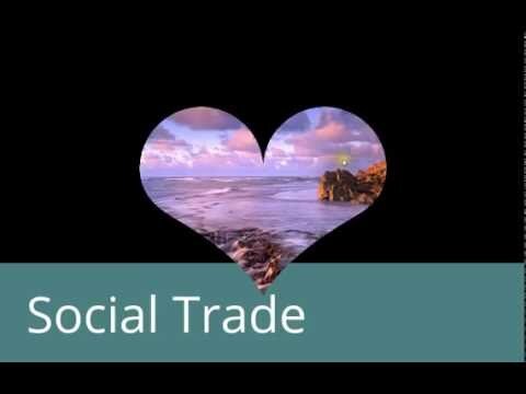 what is social trade