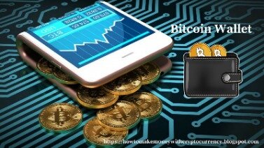 The Importance Of A Bitcoin Wallet