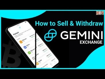 Gemini broker review
